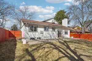 Zang Ct-S1803-036.jpg