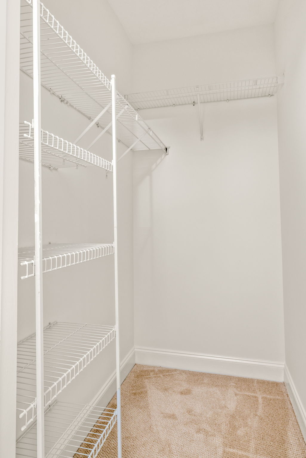 20251028_6430chariot_nassar054