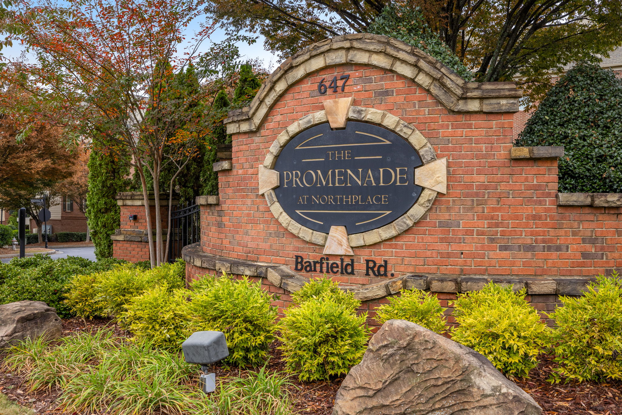 20251028_6430chariot_nassar076