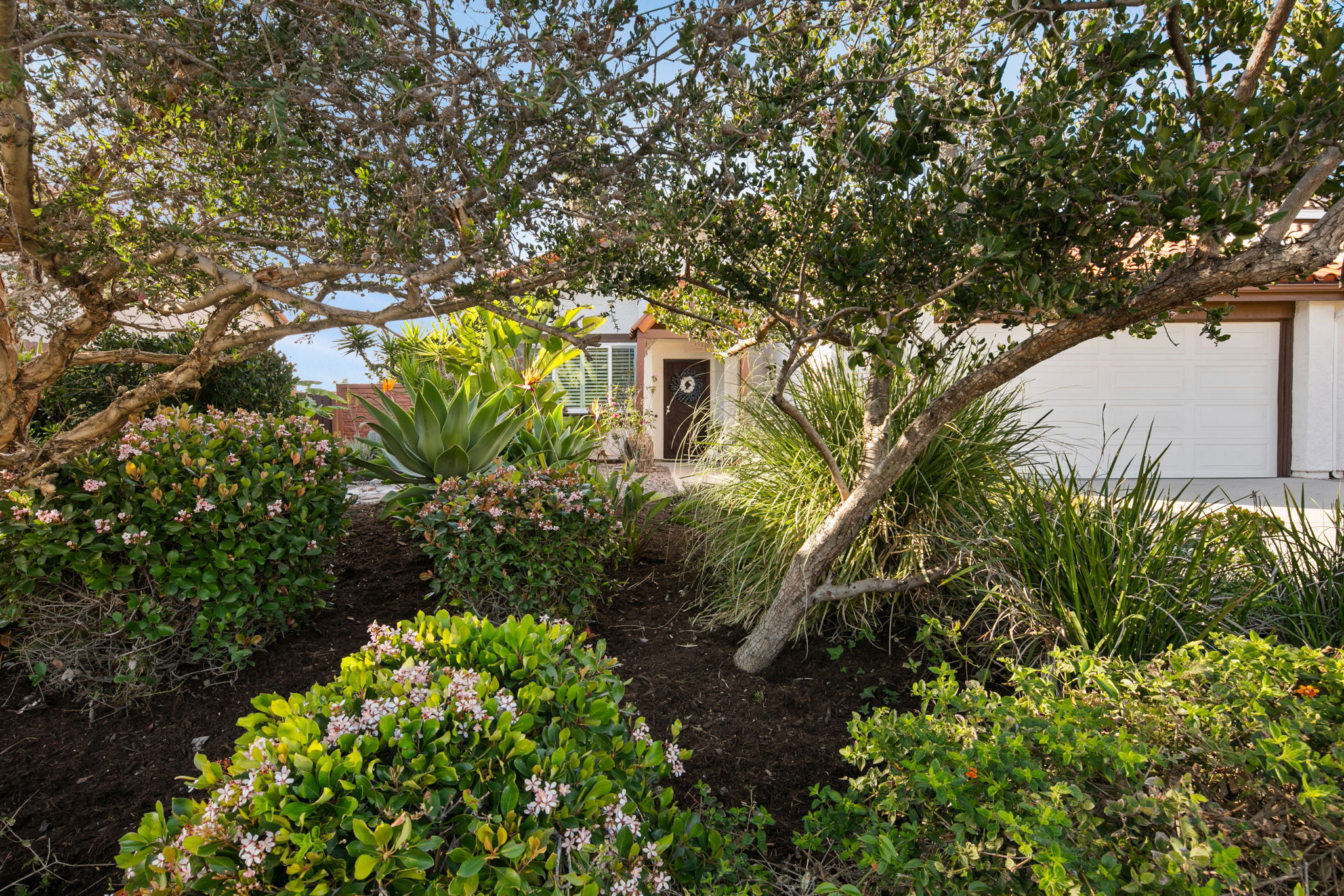 6433 La Paloma St-86