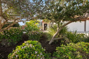 6433 La Paloma St-86