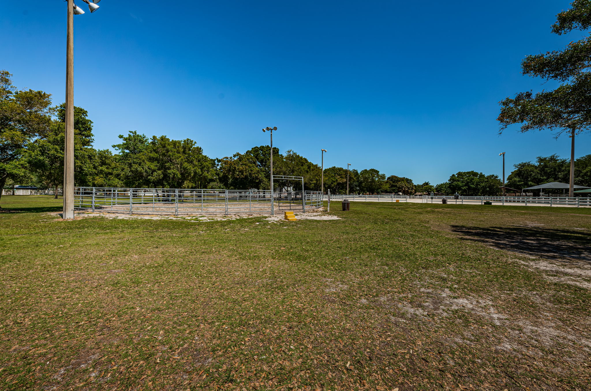 Pinellas Park Equestrian Center 6