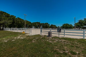 Pinellas Park Equestrian Center 4