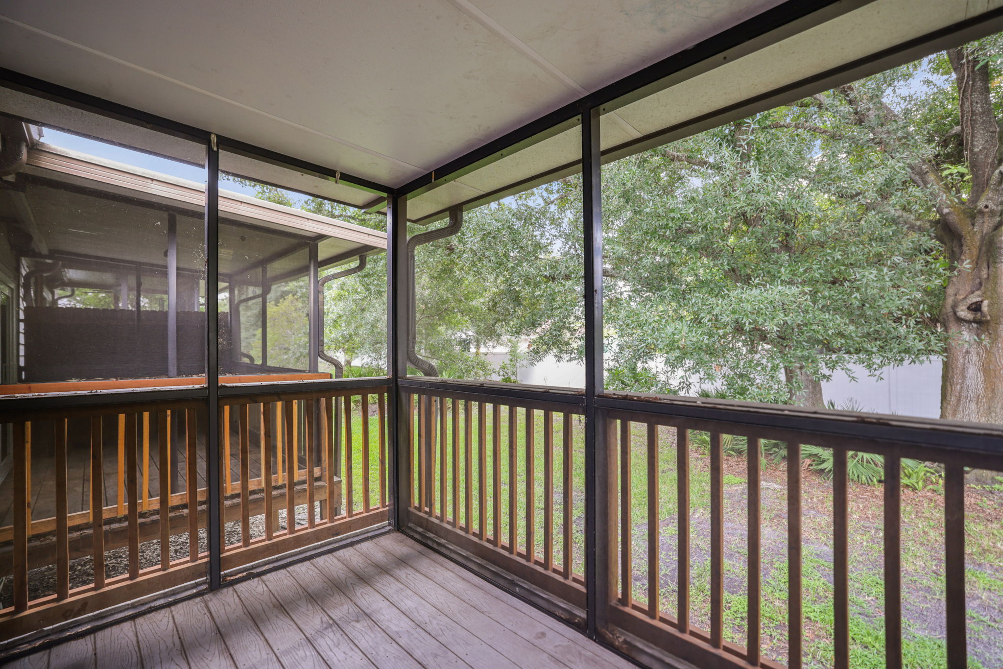 Back Porch - 495A2115
