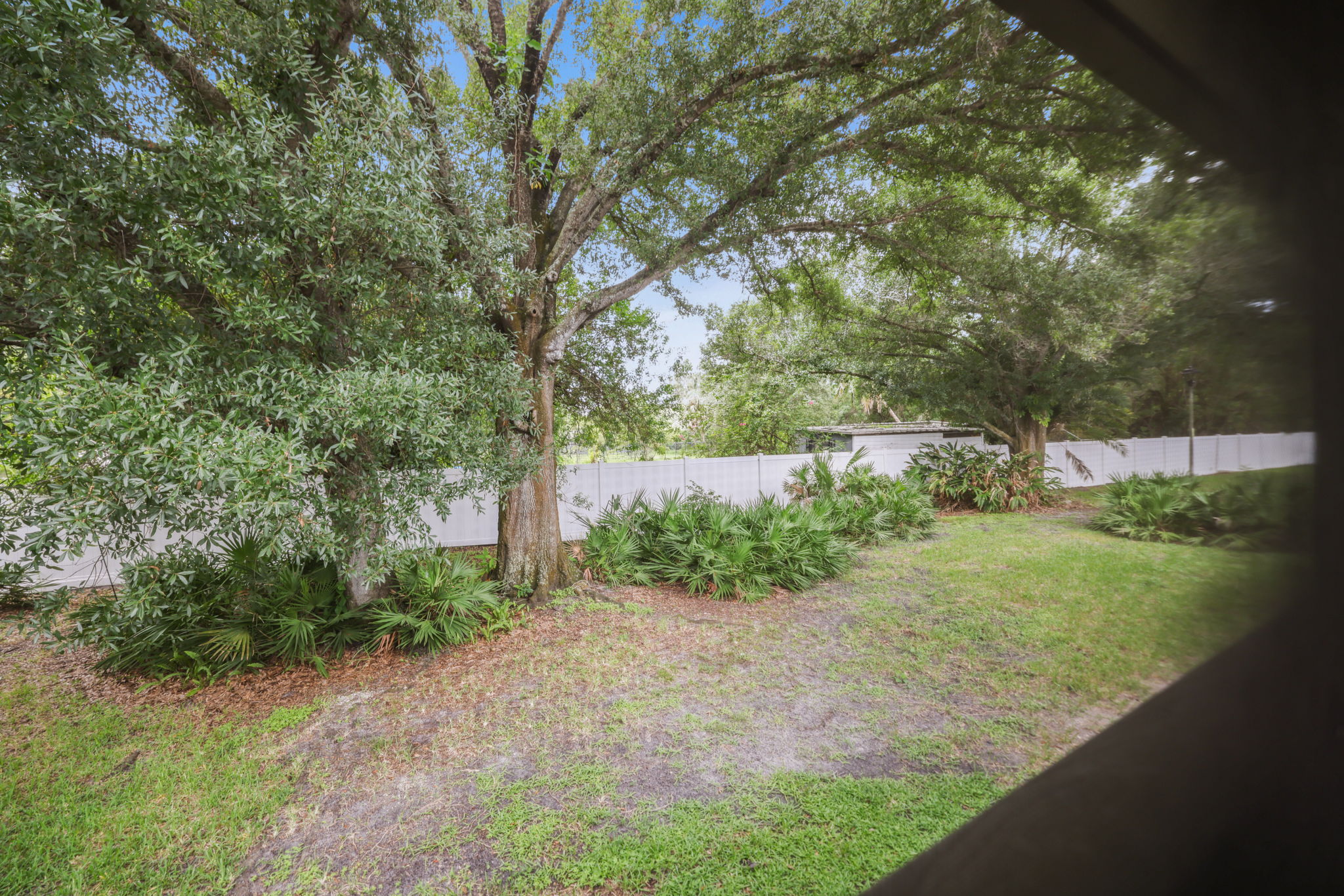 Back Porch View - 495A2121