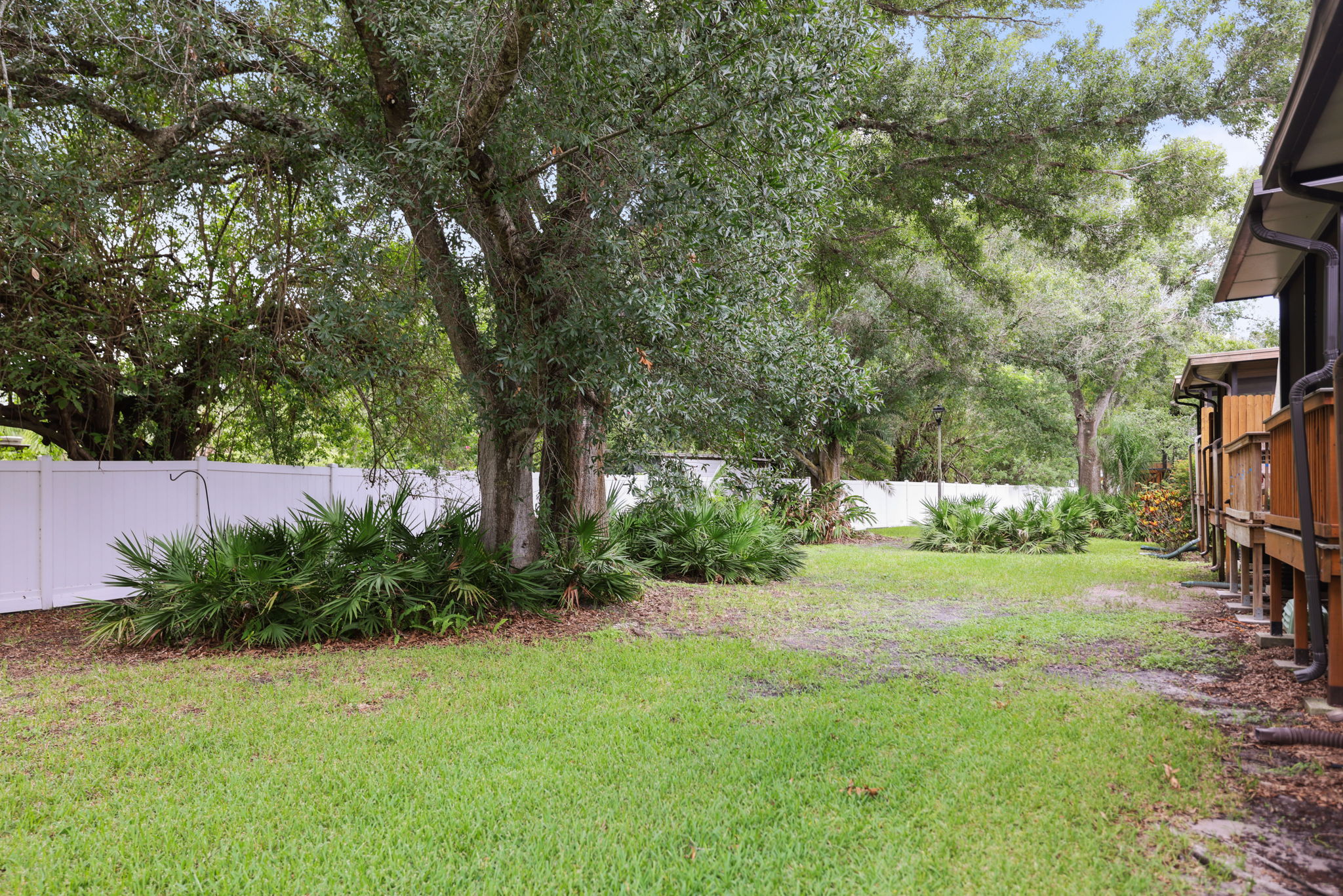 Backyard - 495A2147