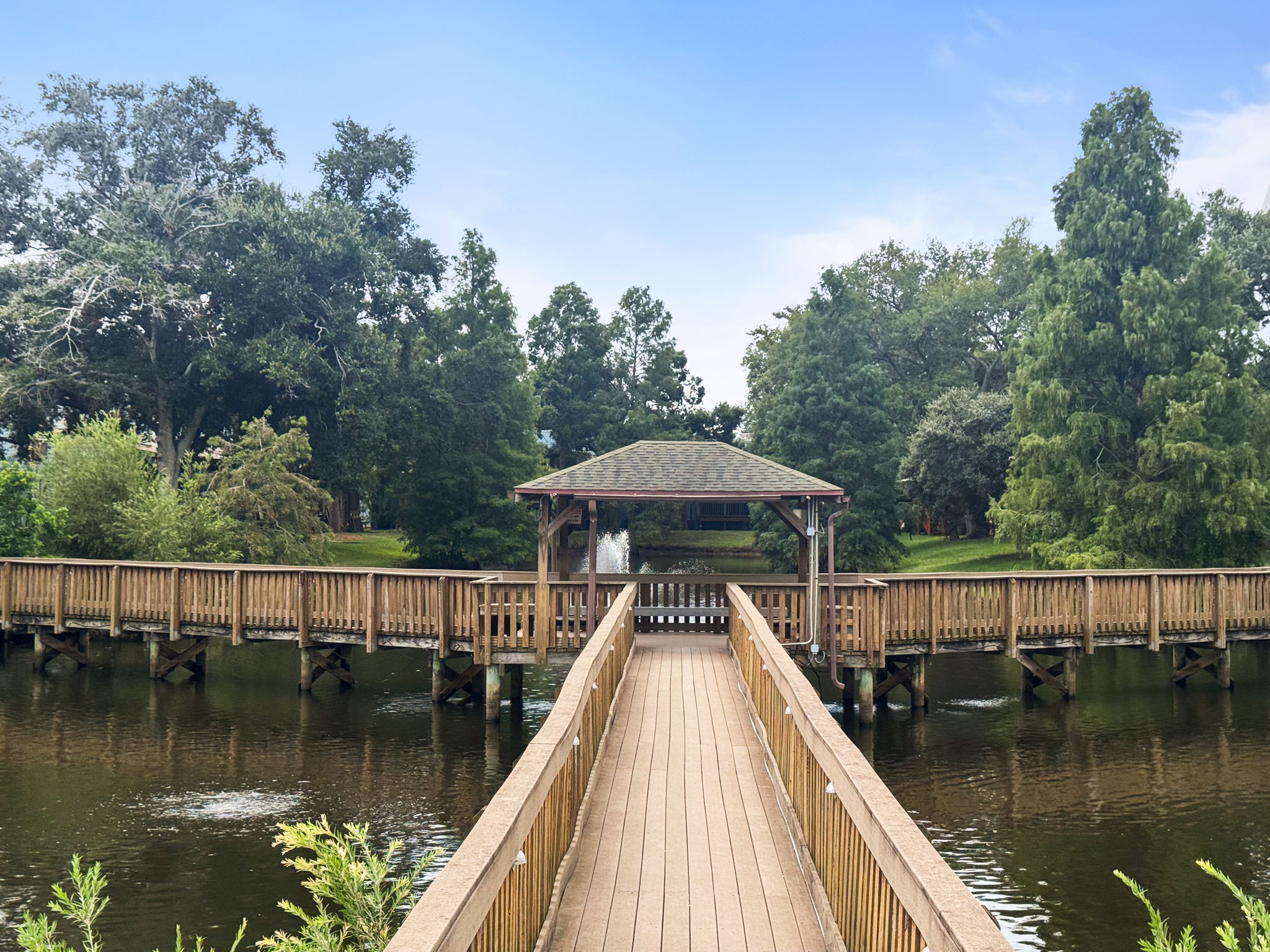 Community Board Walk - IMG_7635