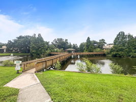 Community Board Walk - IMG_7627