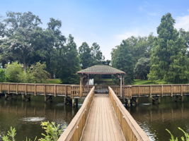 Community Board Walk - IMG_7635