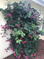  Photo 62