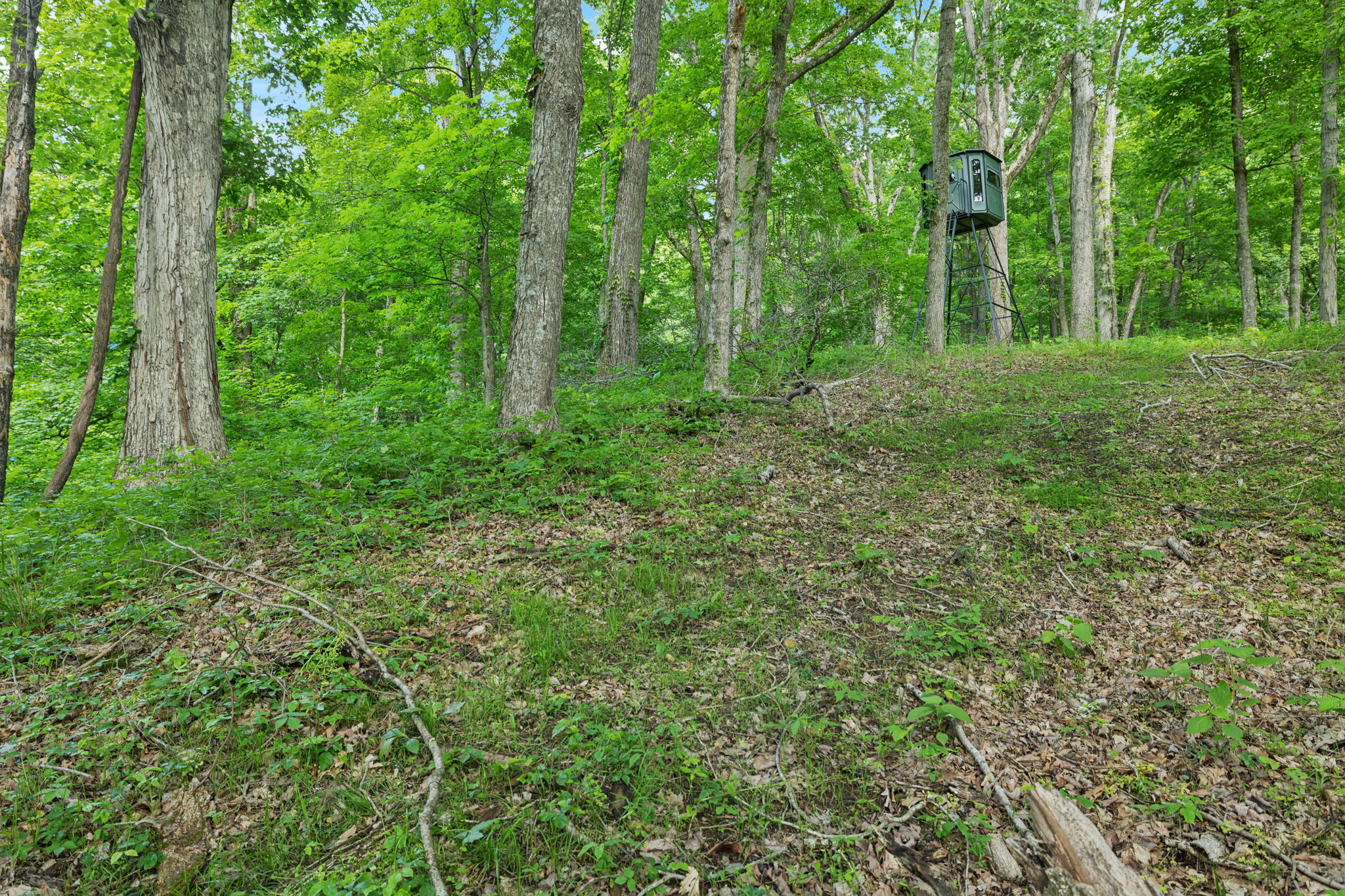  Photo 4