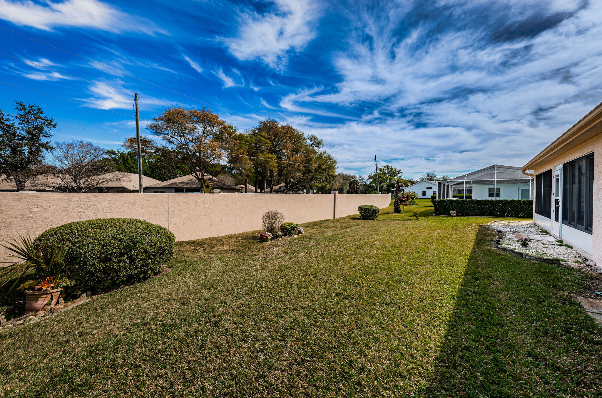 Backyard5