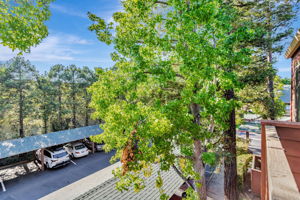 037_644 Teatree Ct