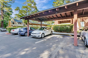 043_644 Teatree Ct