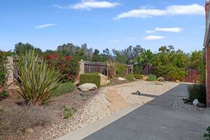 26-Back Yard
