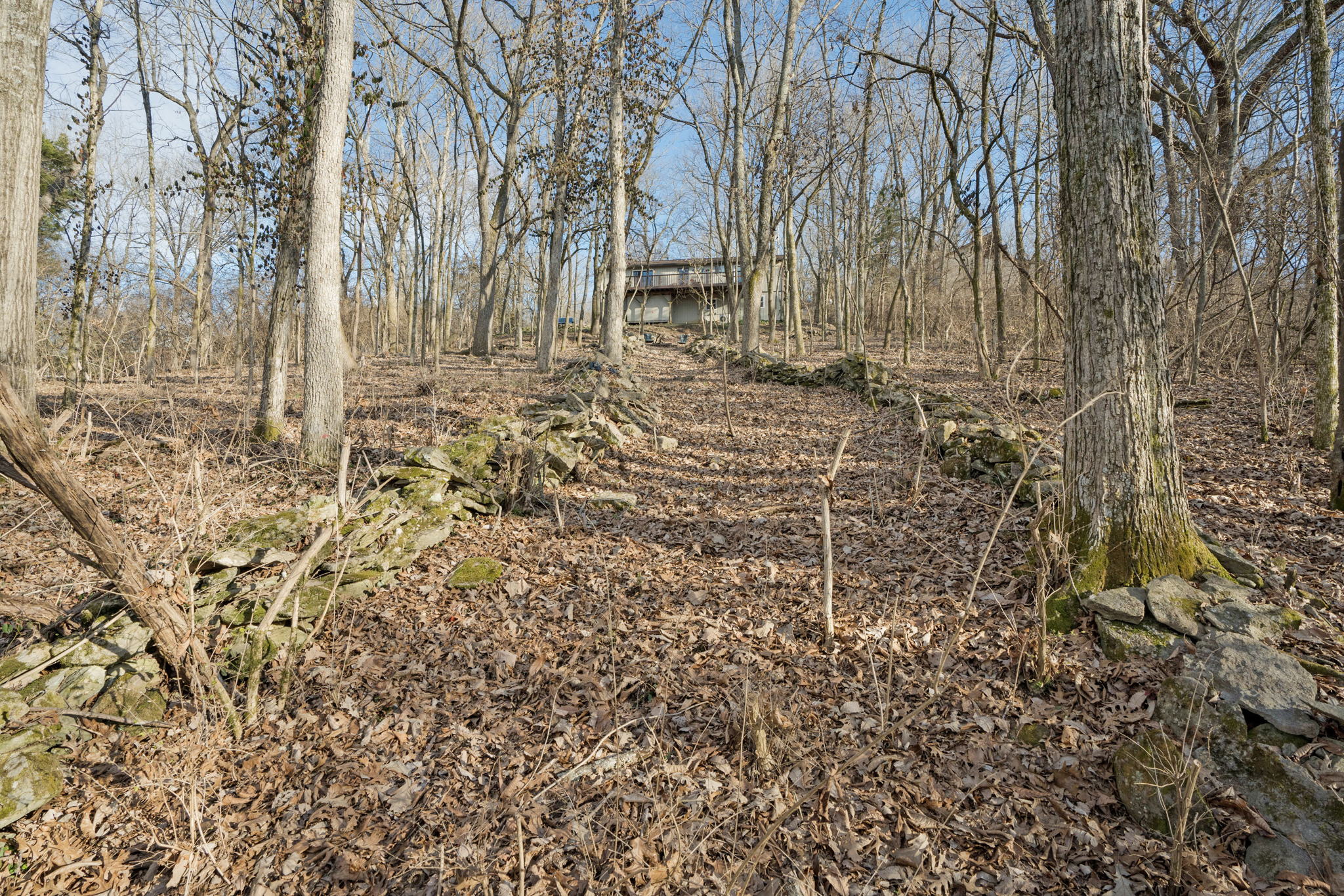6440 Fleetwood Dr, Nashville, TN 37209, USA Photo 34
