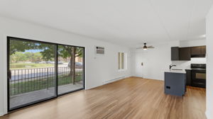 Living Room/Dining Room