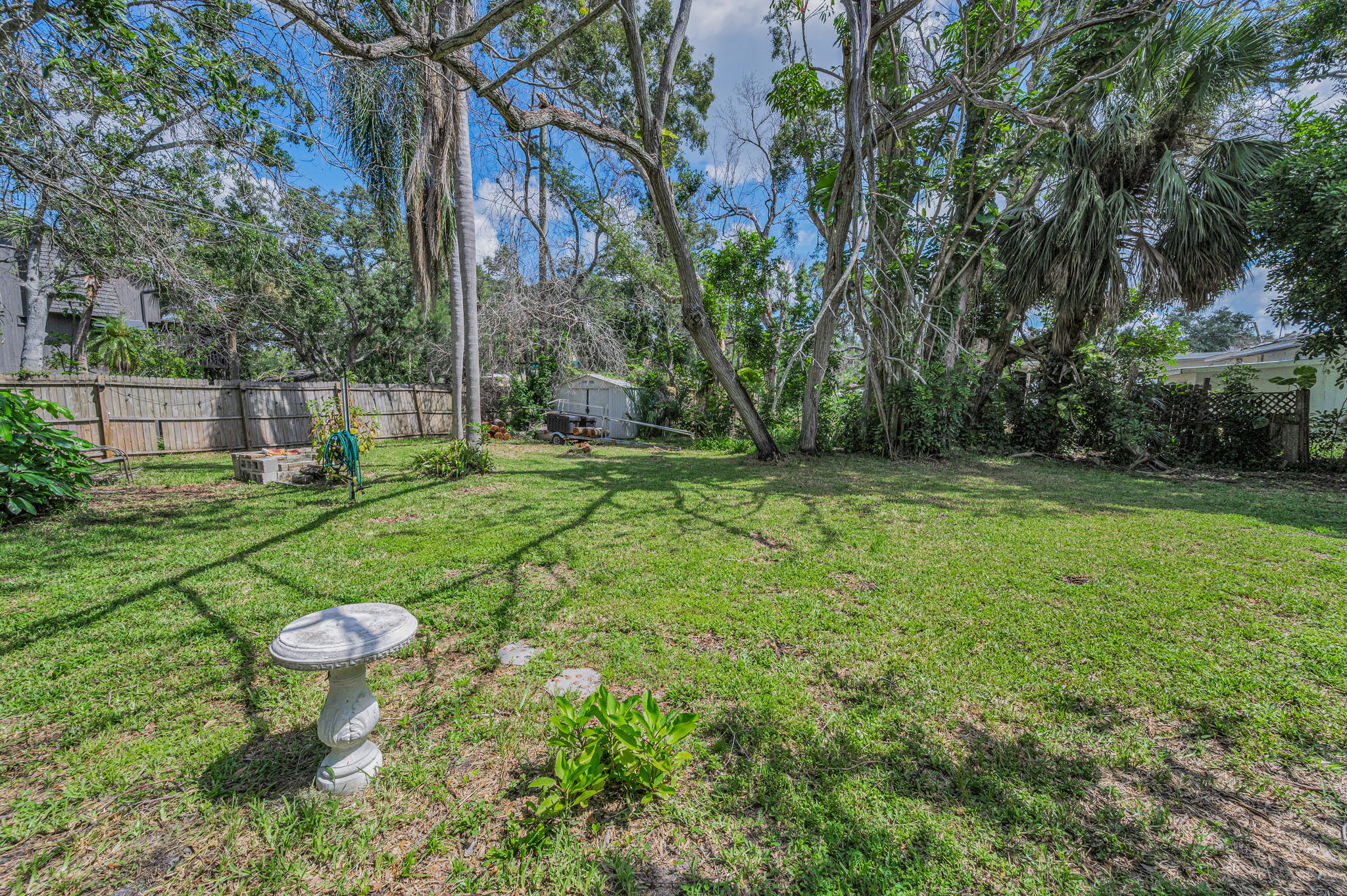 Backyard2