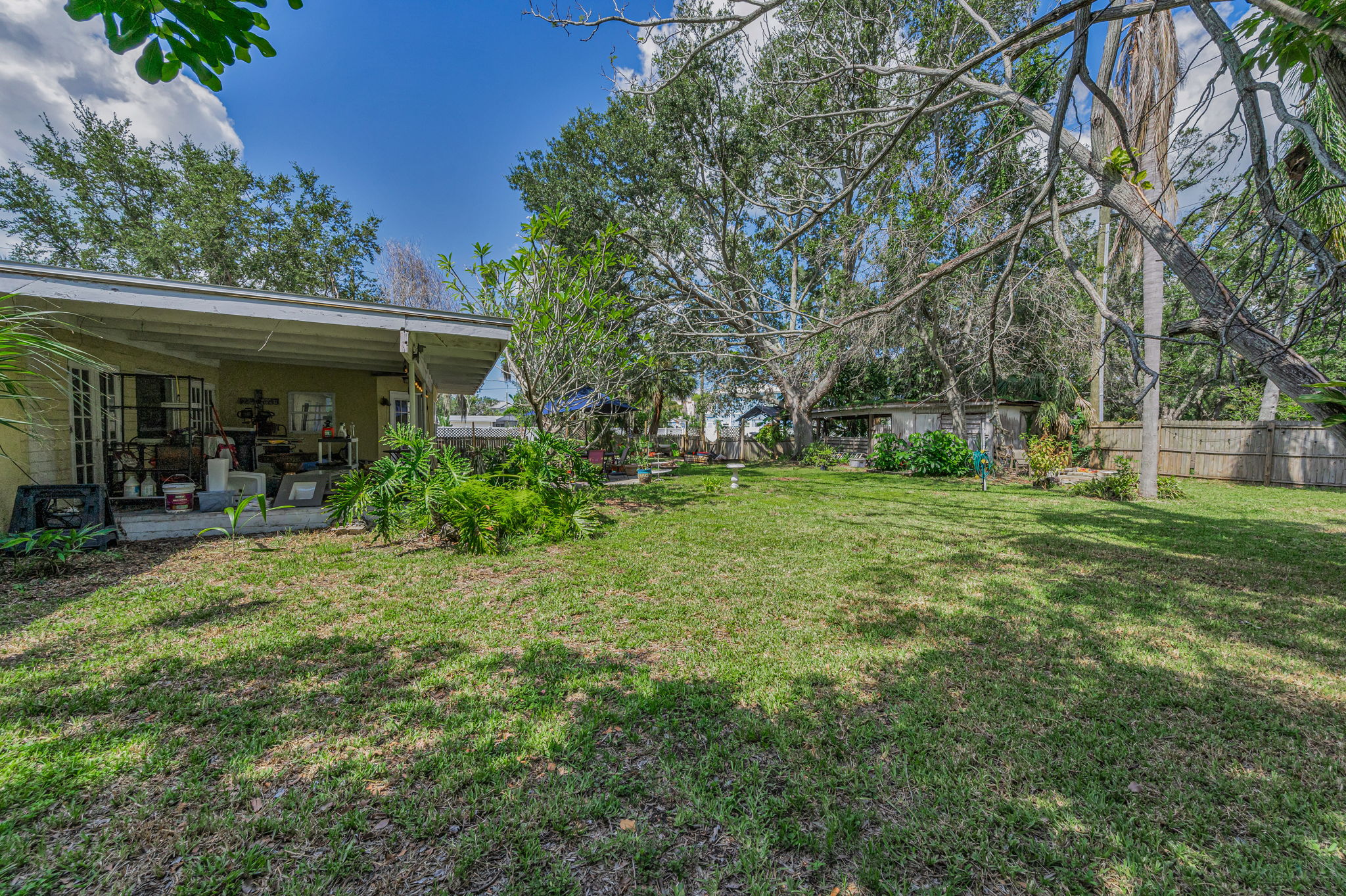Backyard3
