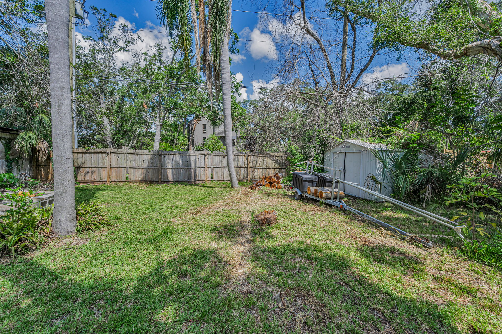 Backyard4