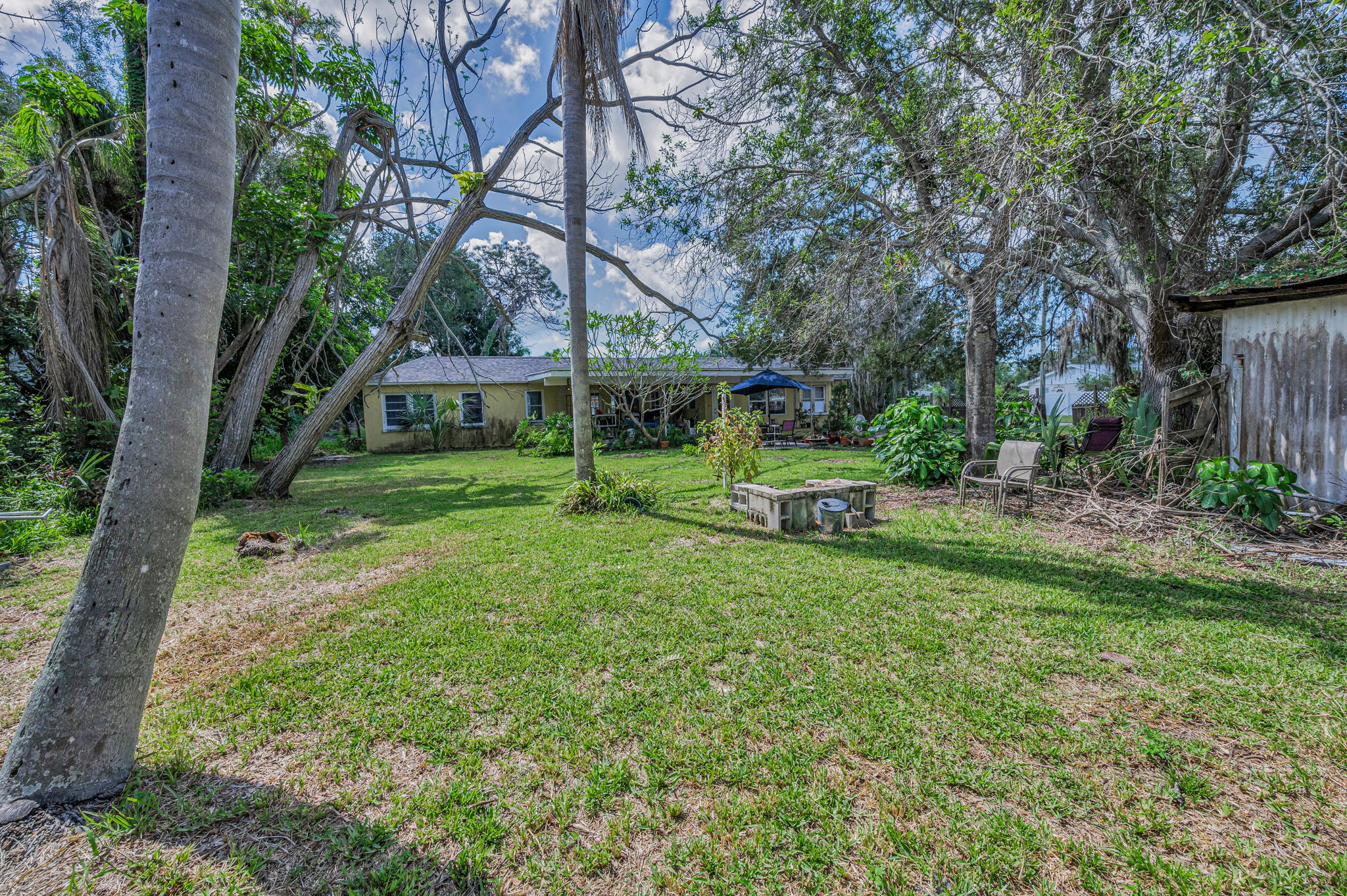 Backyard5