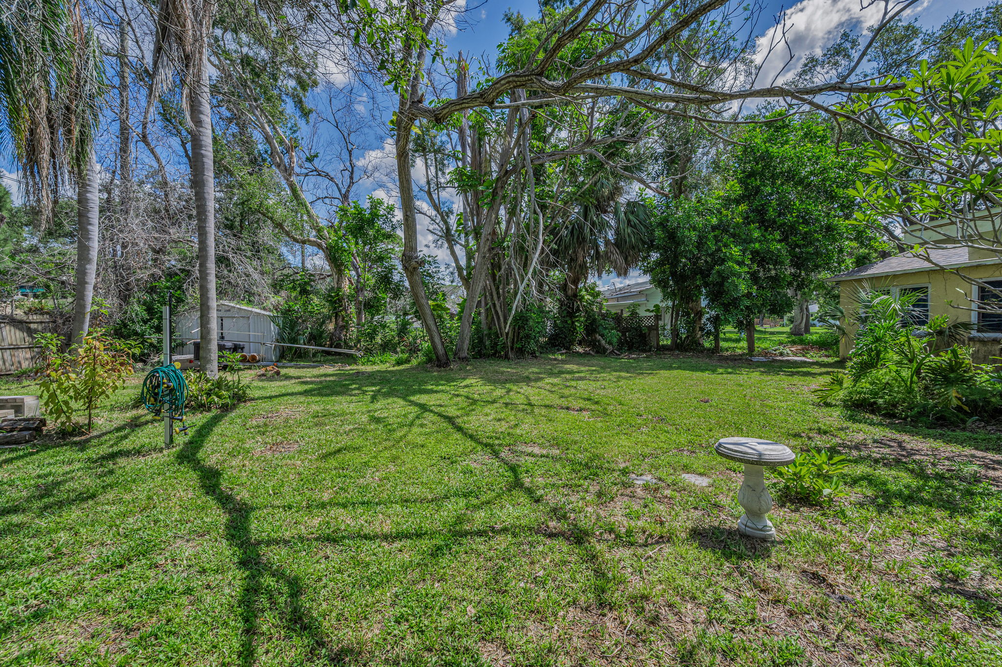 Backyard11