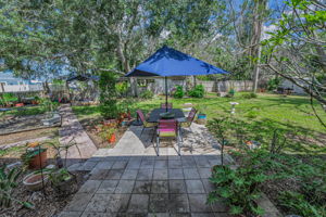 Backyard1