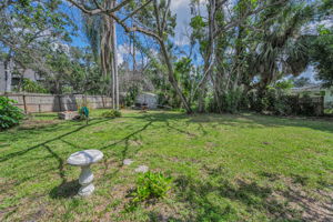 Backyard2