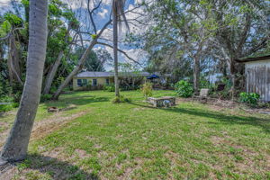 Backyard5