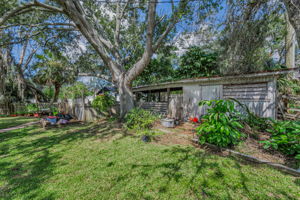 Backyard8