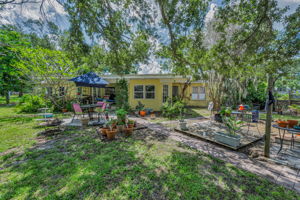 Backyard9
