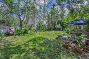 Backyard10