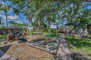 Backyard13