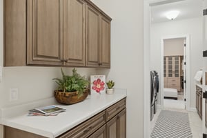 6450 E Monterra Way - 040.jpg