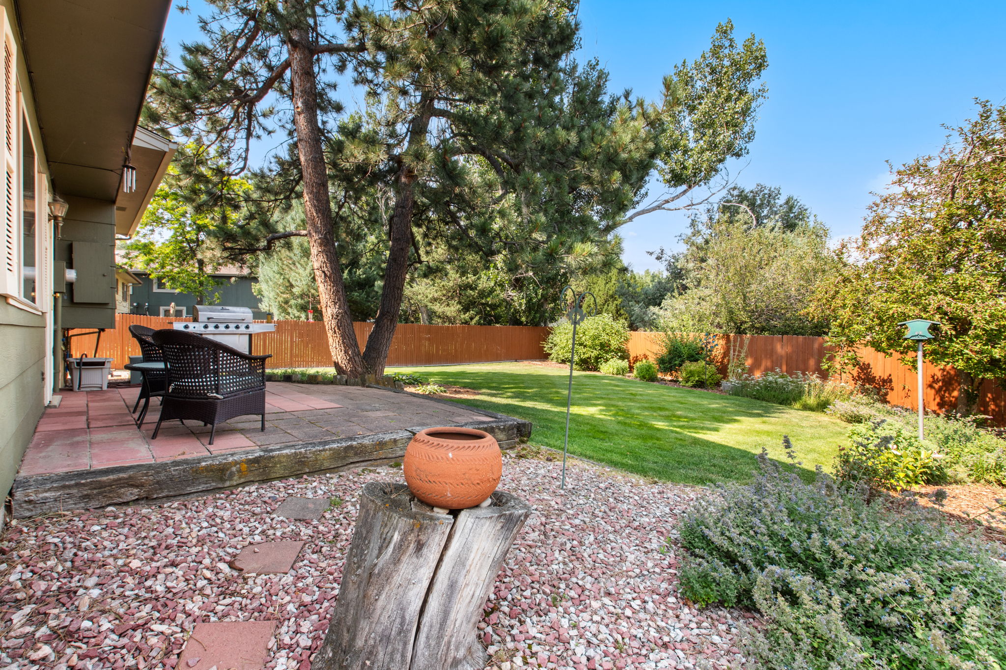 Back Yard