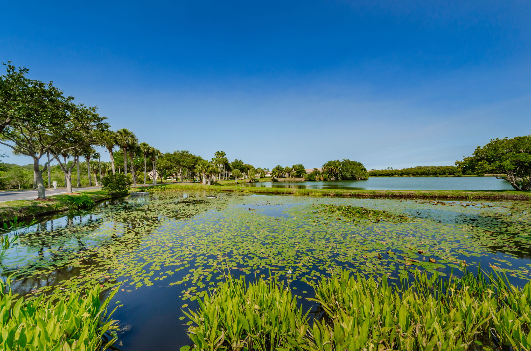 The Shores of Long Bayou Lake 1e