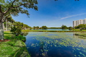 The Shores of Long Bayou Lake 1d