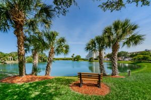 The Shores of Long Bayou Lake 1a