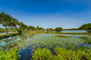 The Shores of Long Bayou Lake 1e