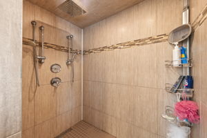 Ensuite Shower