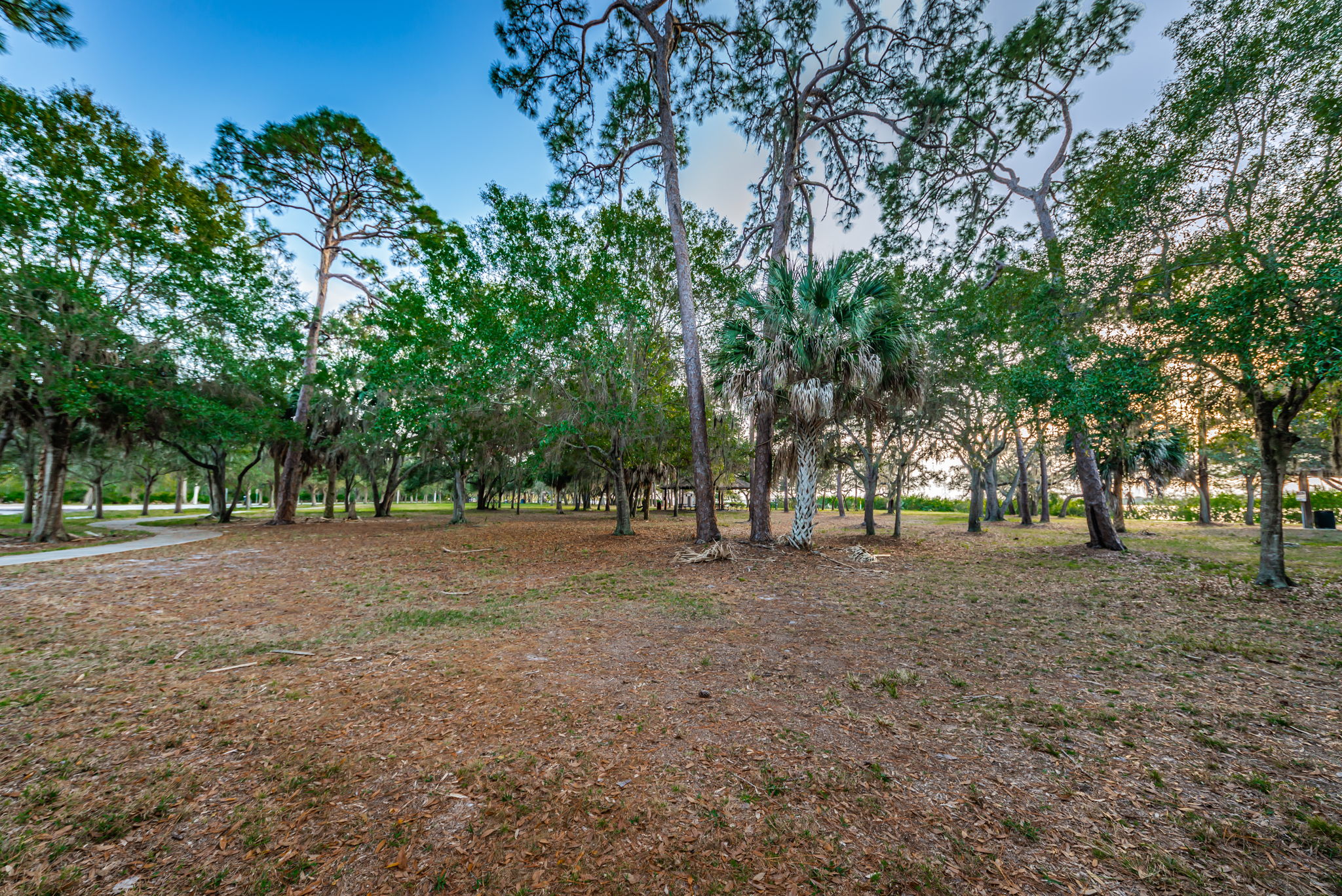 Mobbly Bayou Beach Park12