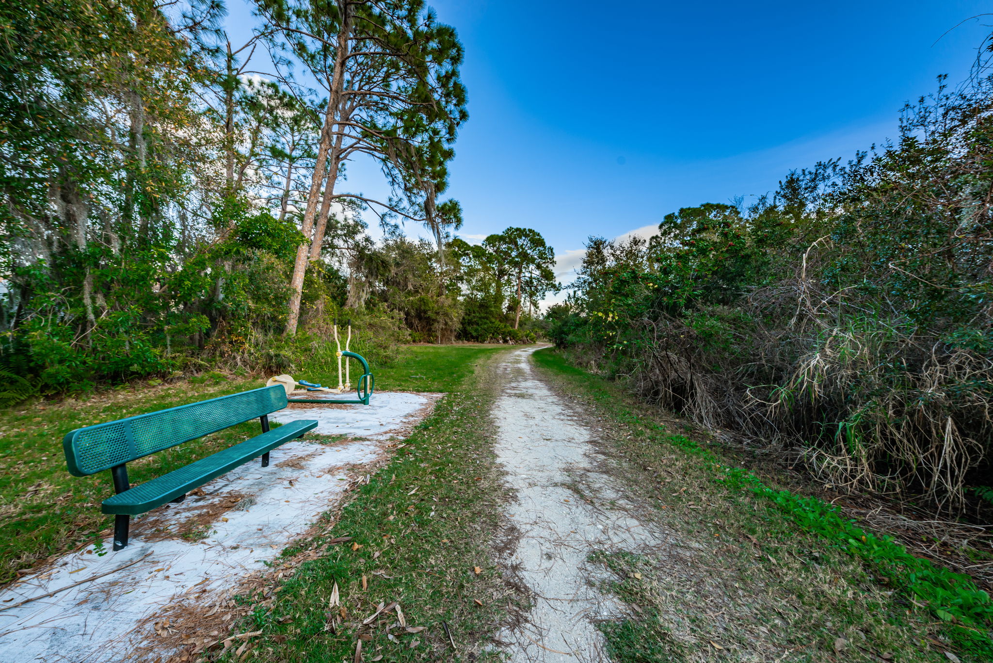 Mobbly Bayou Beach Park14 Oldsmar Trail