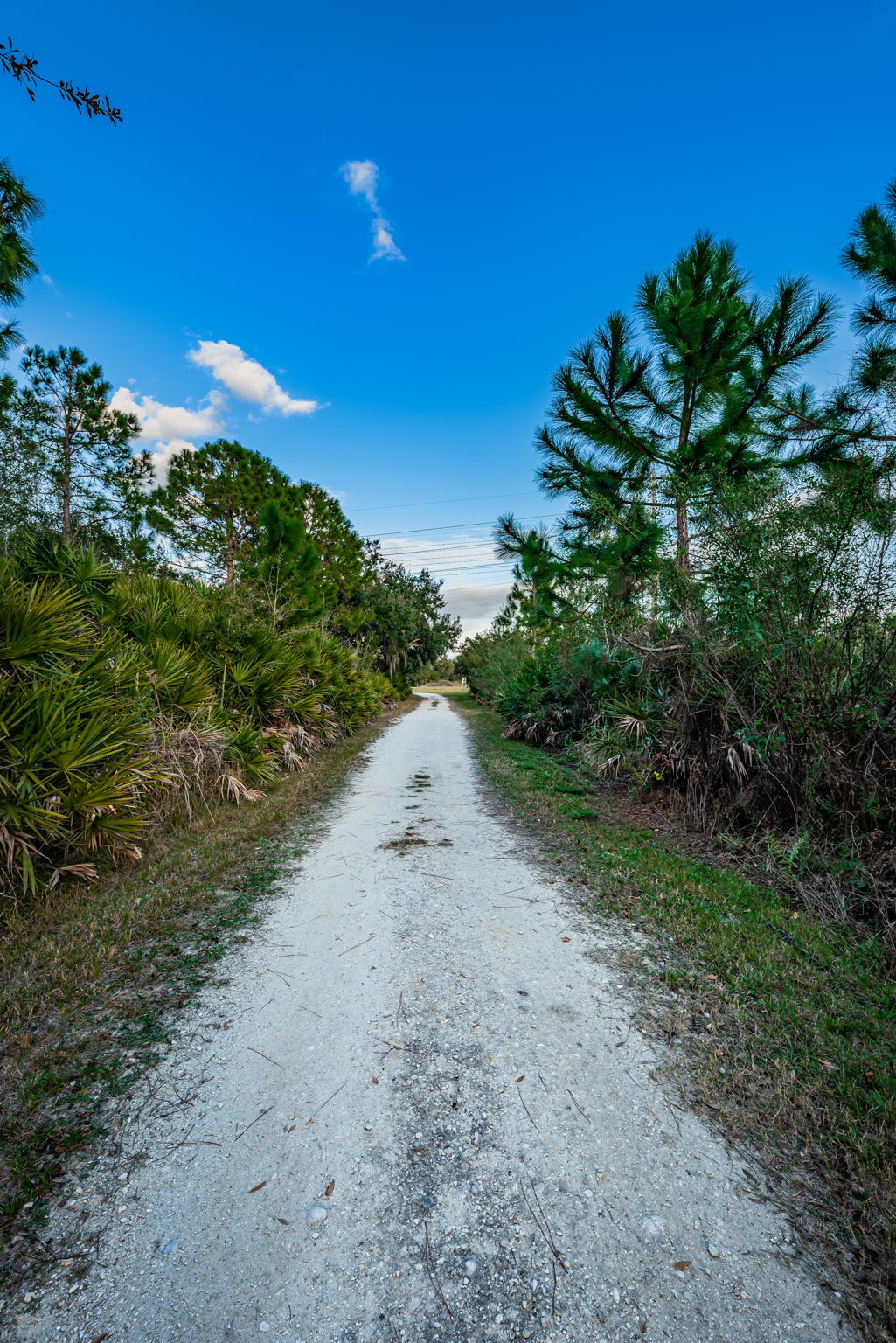 Mobbly Bayou Beach Park15 Oldsmar Trail