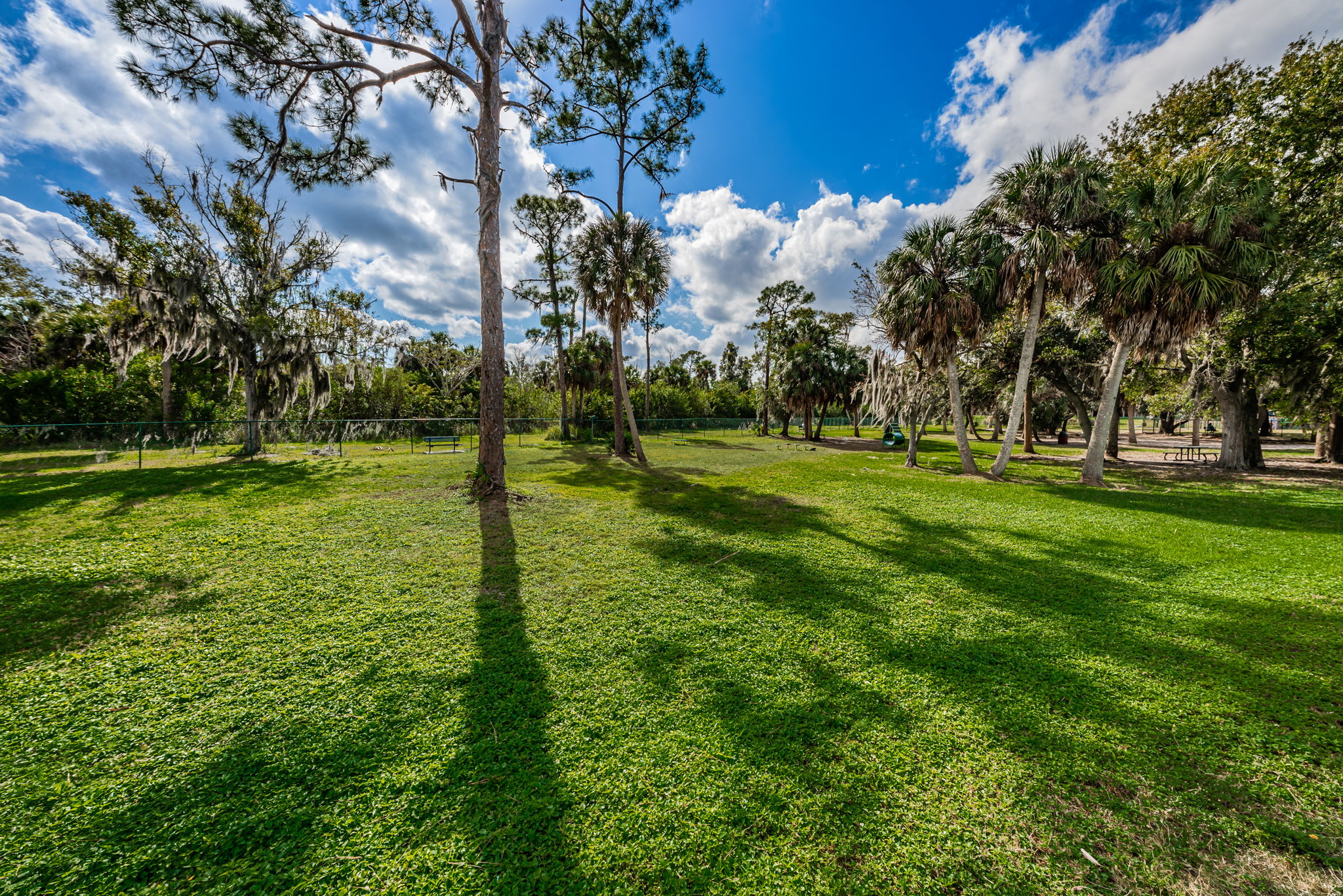 Bicentennial Park42 Bark Park