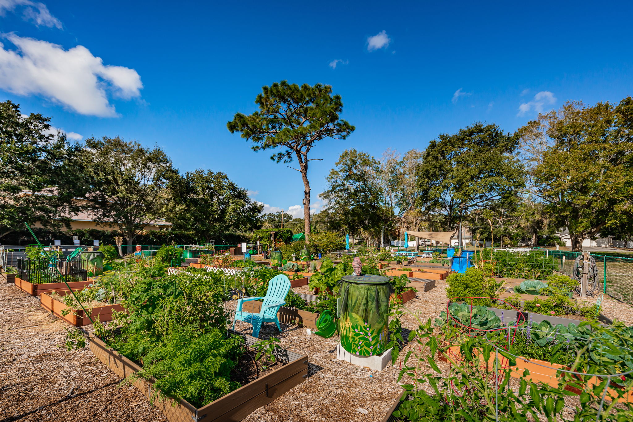 Organic Community Garden2