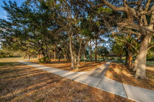 Mobbly Bayou Beach Park7