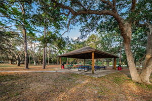 Mobbly Bayou Beach Park8