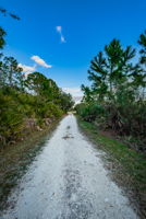 Mobbly Bayou Beach Park15 Oldsmar Trail