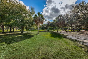 Bicentennial Park43Bark Park