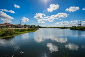 Empower Adventures Tampa Bay Zip Line4